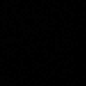 Meet your Posher, Willy